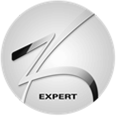 expert logo img 2